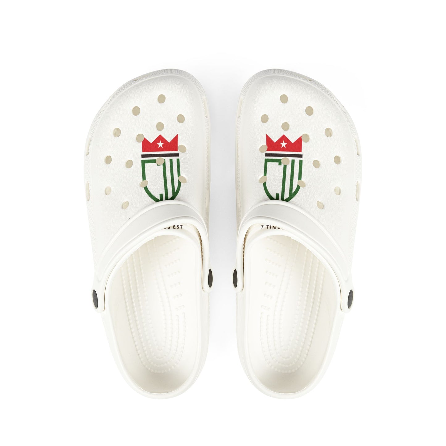 EVA Foam Rubber Shoes (AOP)